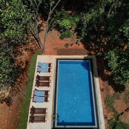 Isanka Lion Lodge Sigiriya Esterno foto