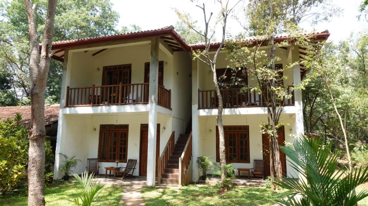 Isanka Lion Lodge Sigiriya Esterno foto