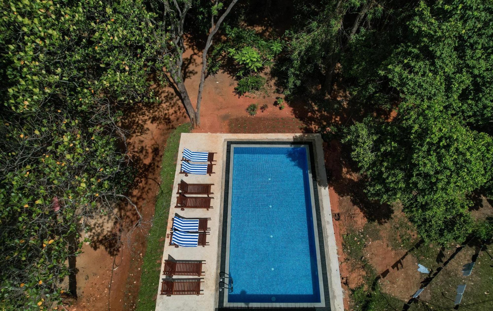 Isanka Lion Lodge Sigiriya Esterno foto